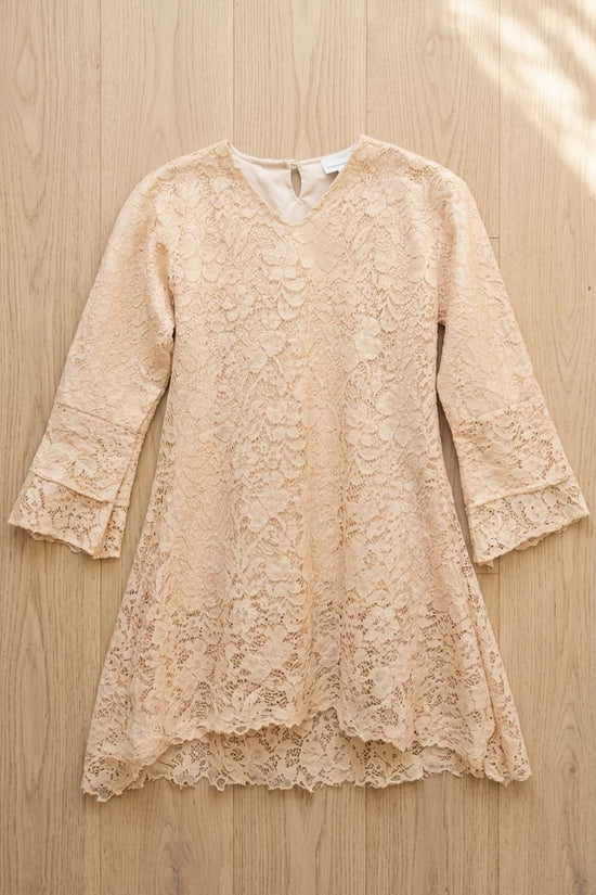 Blush Lace Mini Dress for Women | Elegant Soft Luxury Dress